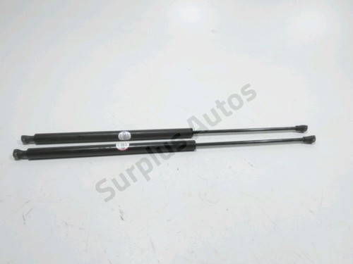 Verin hayon 8731g0 peugeot - verin,