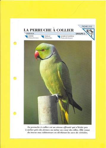 Fiche 213 la - n°213,