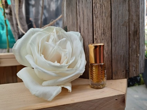 Oud collections 100 - (new), 100%