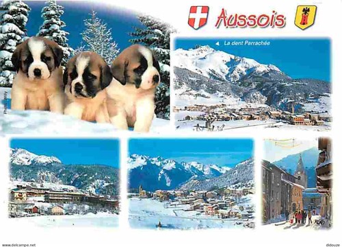 Carte postale animaux - animaux,
