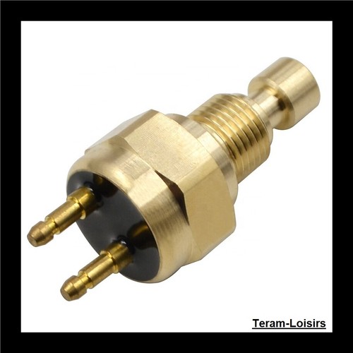 Sonde température thermostat - température,