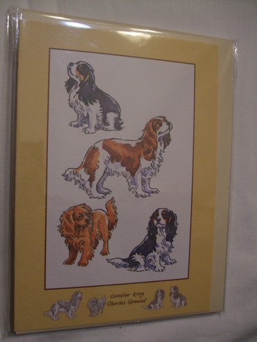 Carte enveloppe chien - enveloppe,