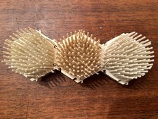 Grenouilles florales - Pique