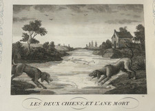 Les deux Chien et l'Ane mort