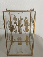 Petite Jardinière, Serre Verre Et Laiton Cactus, Petites Plantes 