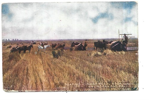 Agriculture canada machine - ,