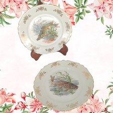 Assiette plate ancienne decor poisson porcelaine vintage céramique française XXe