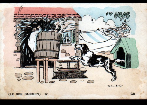 Chien garde sauvetage un - sauvetage,