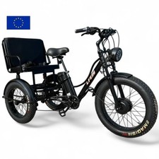 Tricycle électrique 20/24 pouces 750W 48V 15Ah pneus larges passager