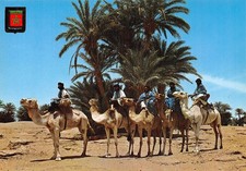 MAROC CARAVANE
