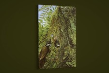 Marianne North - Nest of the