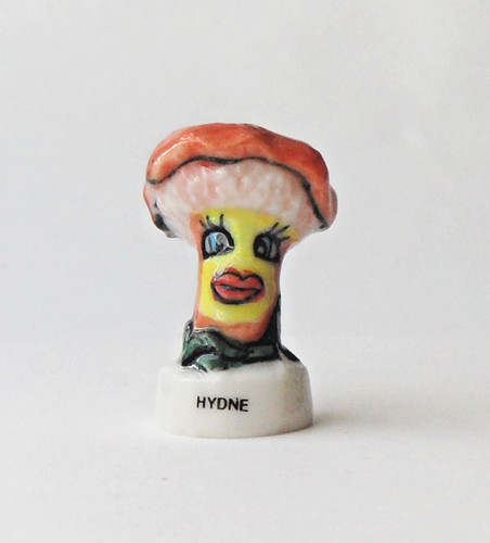 Cyb fève champignon hydne - ,