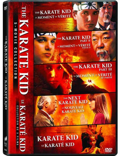 The karate kid movie - the,
