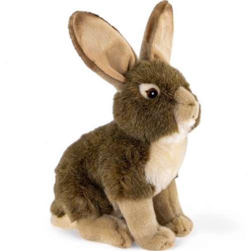 Lapin assis avec - de, grandes