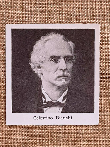 Celestino bianchi marradi - bianchi,