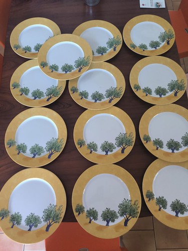 Assiettes plates porcelaine - 13,
