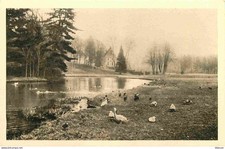 Animaux - Oiseaux - Parc