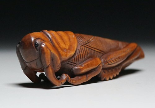Ancien insecte japonais