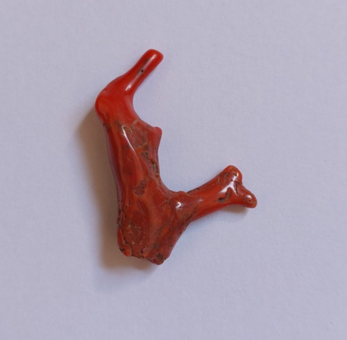 Branche naturelle corail rouge