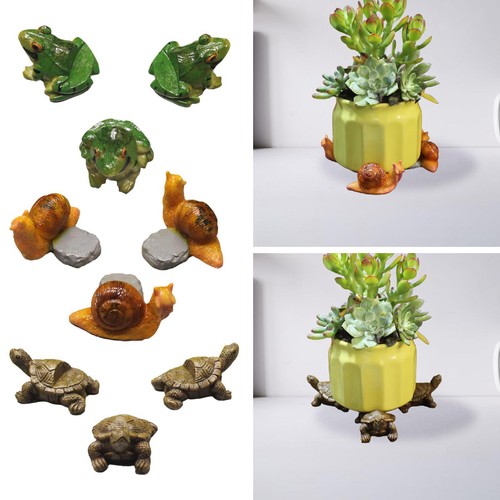 Lot pieds pot fleurs - de,