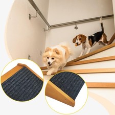 Rampe pour chien - et, chat