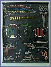 affiche scolaire planche