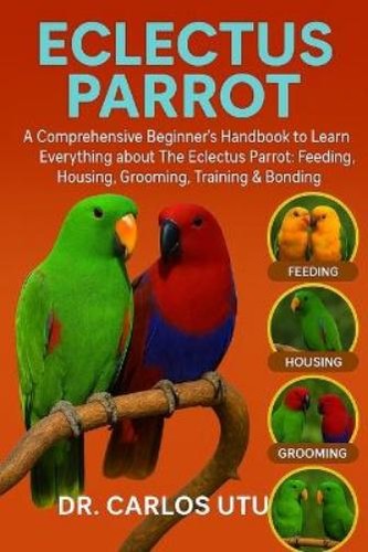 Carlos utu eclectus parrot - carlos,