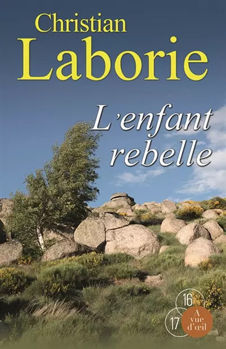 Enfant rebelle christian - l'enfant,