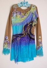 Figure Skating Competition