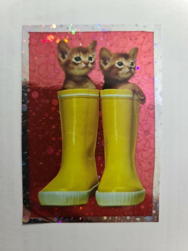 Image sticker autocollant