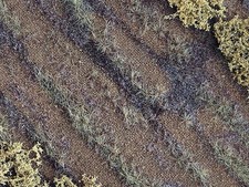 MIG Plaque de terrain diorama Airfield Autumn 24x24 cm - 1/35 - MIG 8482