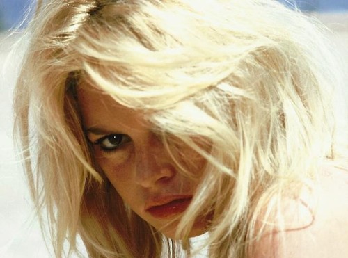 Brigitte bardot photo 18x24 - brigitte,