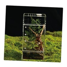 Acrylic Terrarium for Reptiles