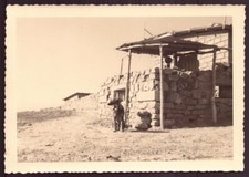 Photo chien - photo, 9