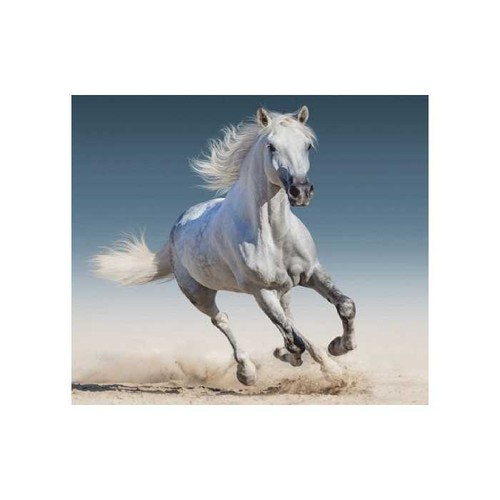 Cheval pur sang - :, housse