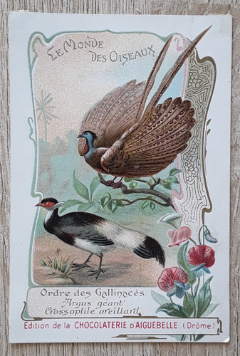 Carte-Chromos-Découpis-CHOCOL