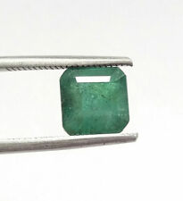 Coupe carrée verte riche en