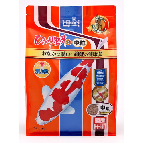 Lot germes kyorin hikari - de,