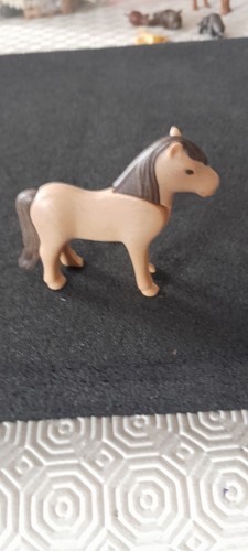 Animal poney centre equestre - poney,