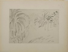 Henri MATISSE : Jardin