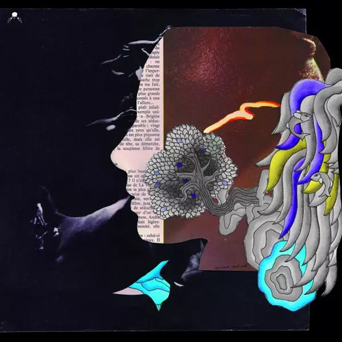 Dirty french psychedelics - dirty,