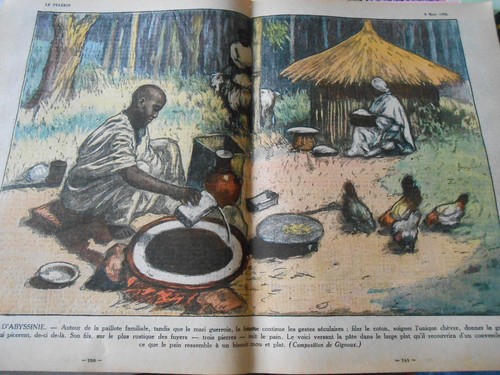 Abyssinie paillote familiale