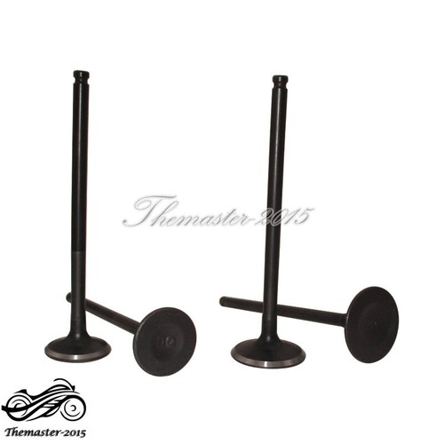 Intake exhaust valves for - exhaust,