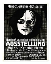 Affiche d'art mural anatomique