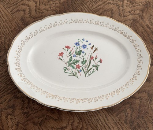 Plat digoin sarreguemines à - plat,