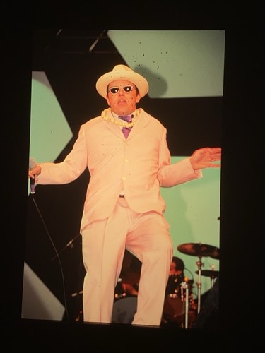 Madness suggs photo - madness,