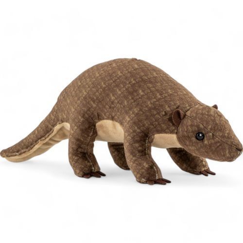 Pangolin environ cm de - d'environ,