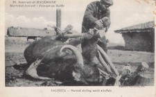 CP  MARECHAL FERRANT FERRANT