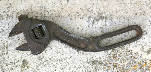 Reptil ancienne clé à - ancienne,
