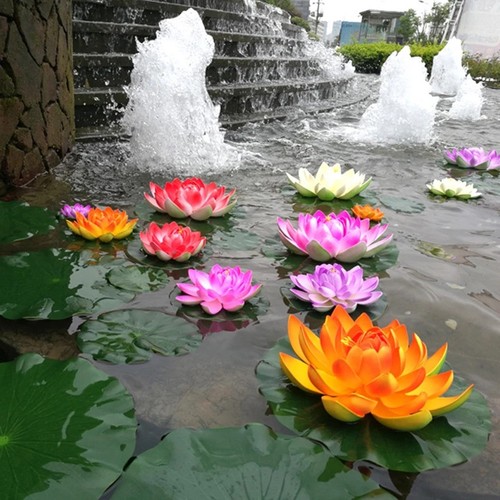 Flottant lotus eau lis - lotus,